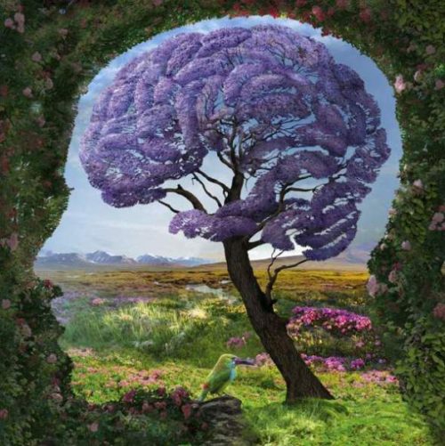 From Nature to Culture – Loss of Resilience.